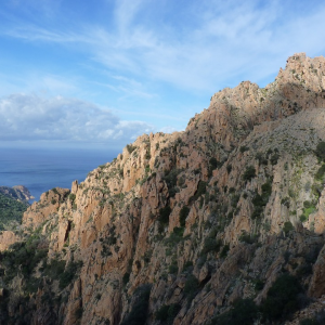 Quelques conseils pour reussir une visite des Calanques de Piana